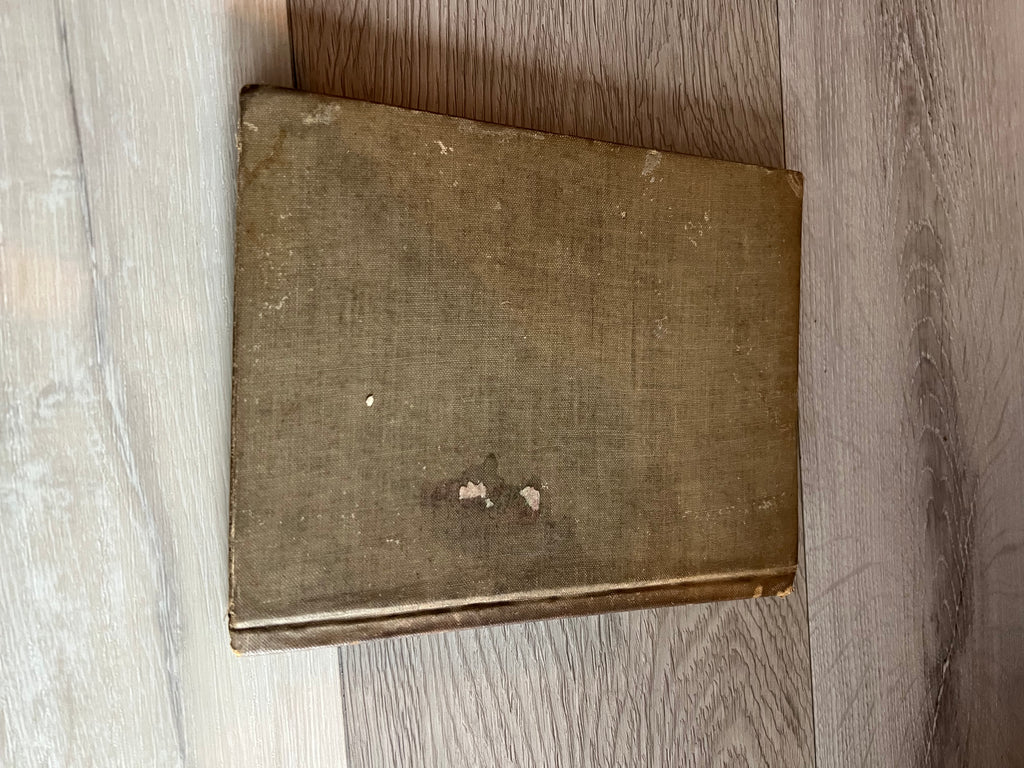 Antique 1919 "The Brownies and the Goblins" by N. Moore Banta
- Vintage Children's Book