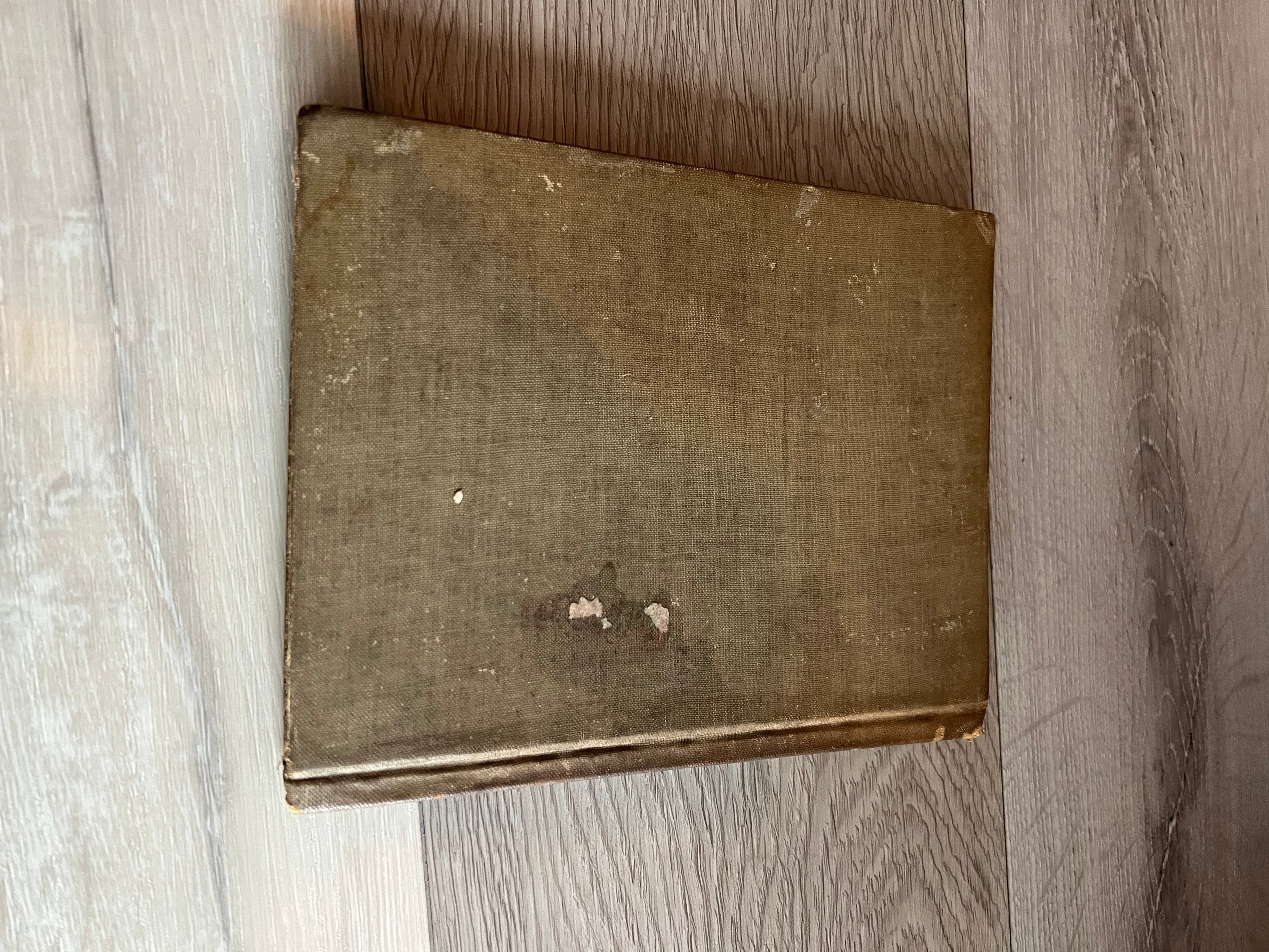 Antique 1919 "The Brownies and the Goblins" by N. Moore Banta
- Vintage Children's Book
