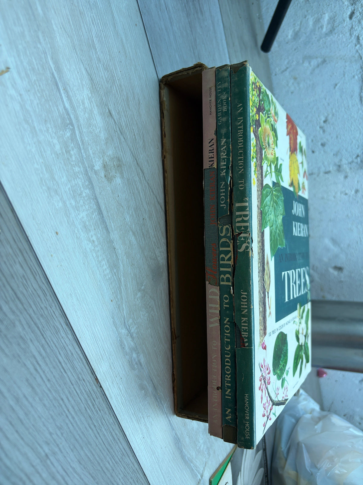 An Introduction to Trees (3 Books)