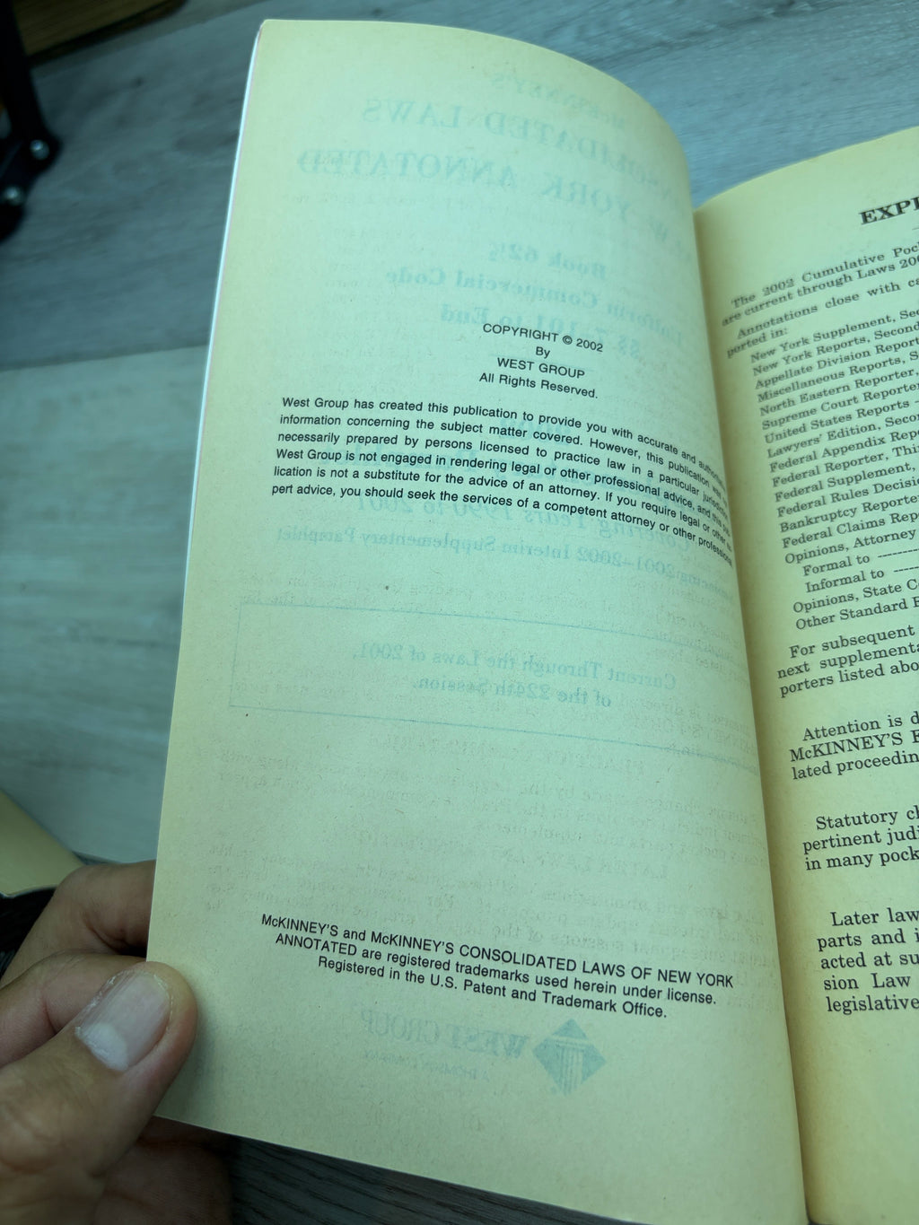 McKinney's Consolidated Laws of New York Annotated, Book 62½