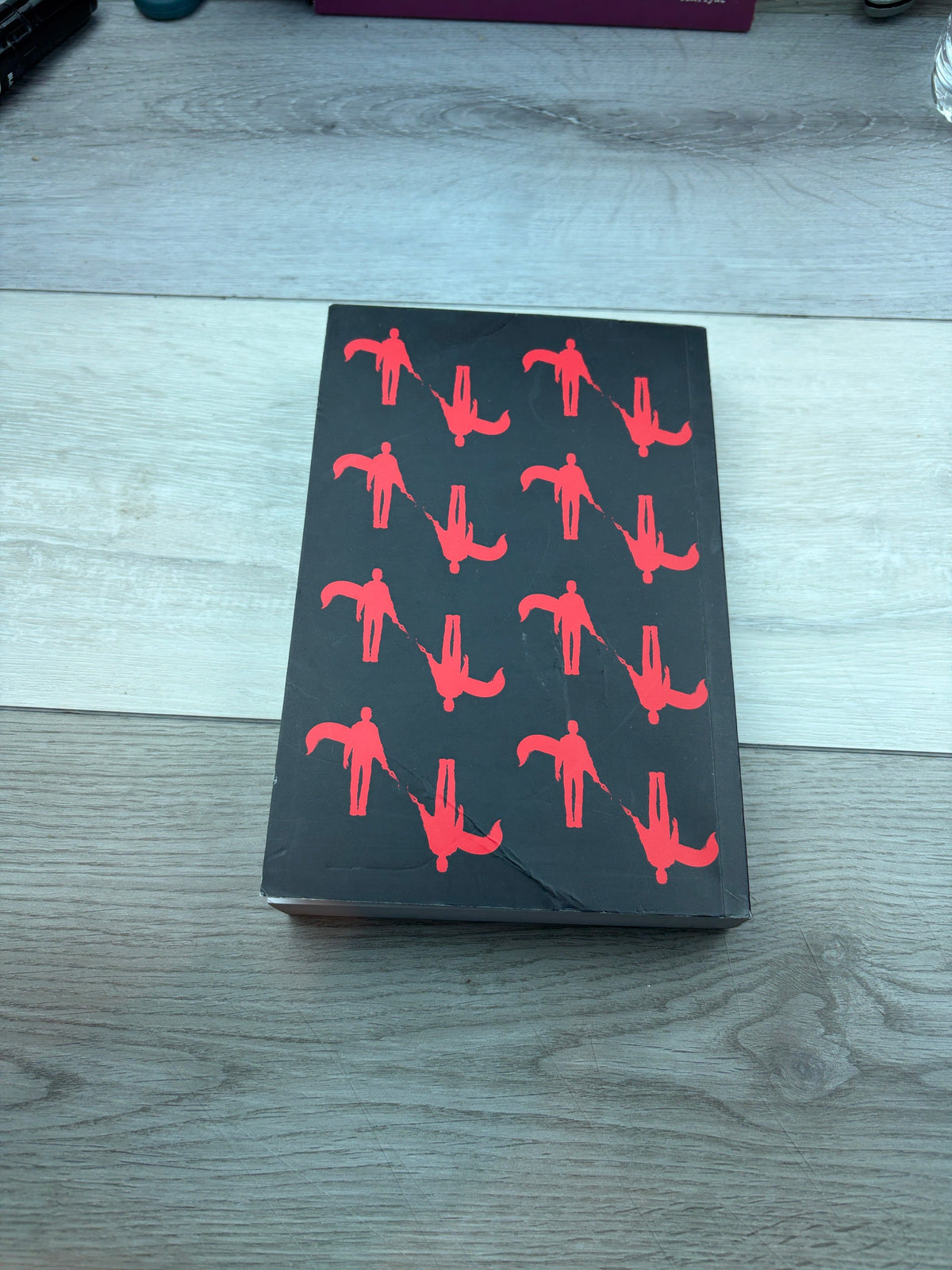 Diary of a Novel
