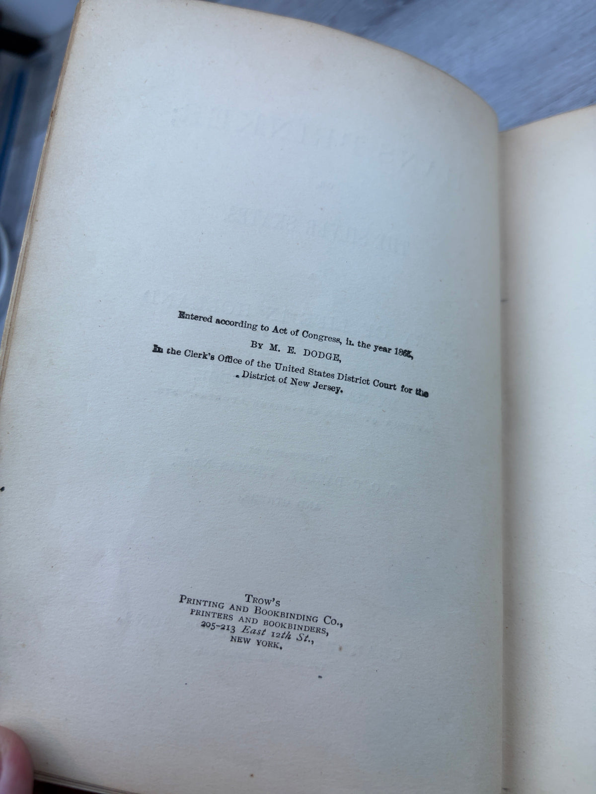 Hans Brinker; or, The Silver Skates