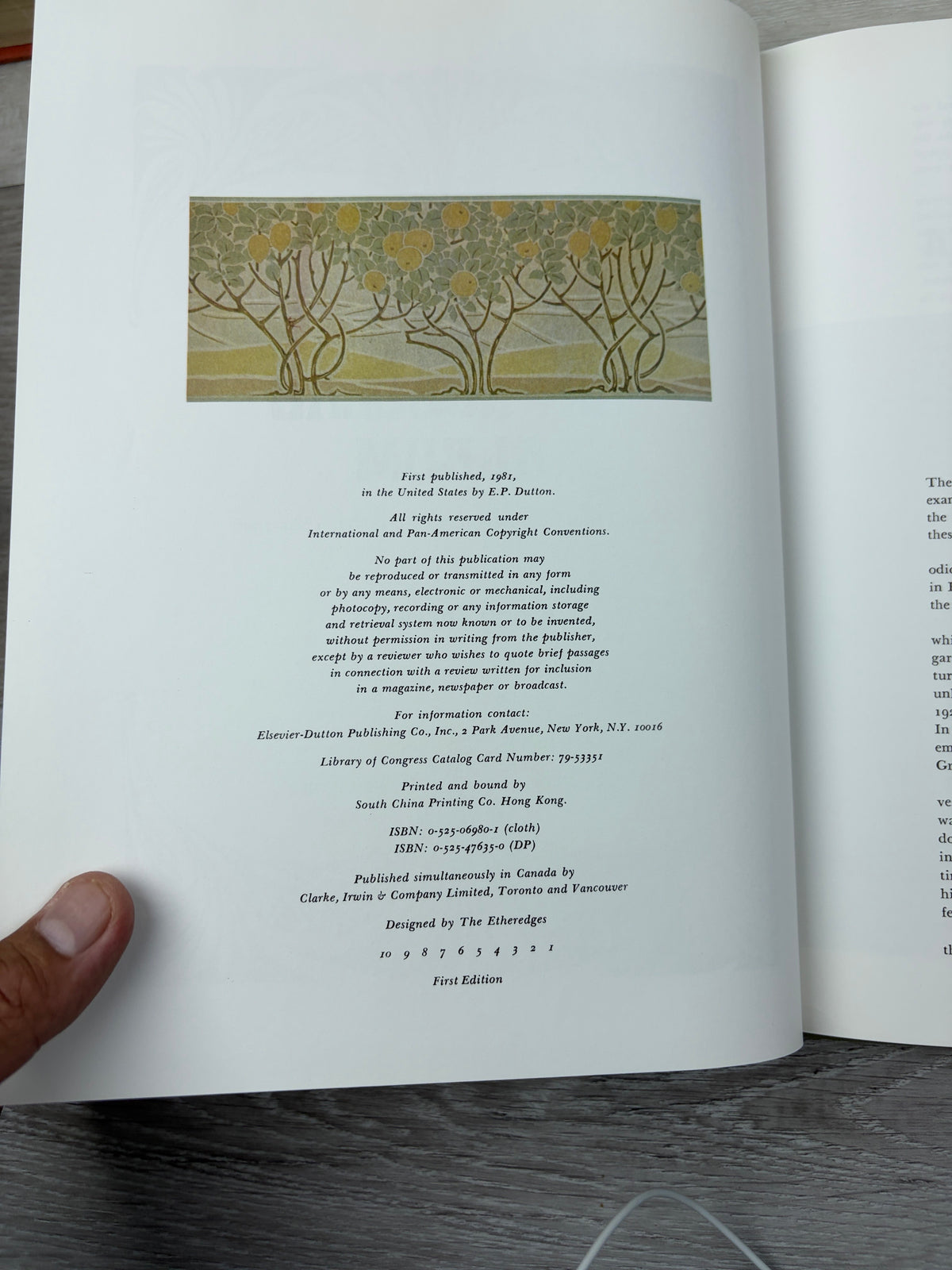 An Art Nouveau Album: Color Plates from Dekorative Vorbilder, 1898-1906