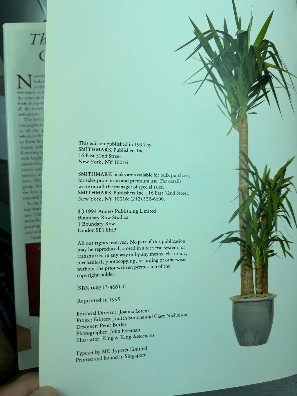 The Houseplant Care Manual: The Complete Guide to Choosing, Nurturing and Displaying Houseplants