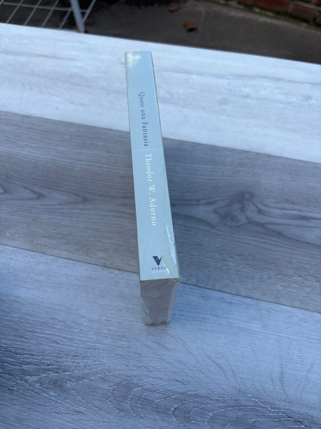 Quasi una Fantasia: Essays on Modern Music