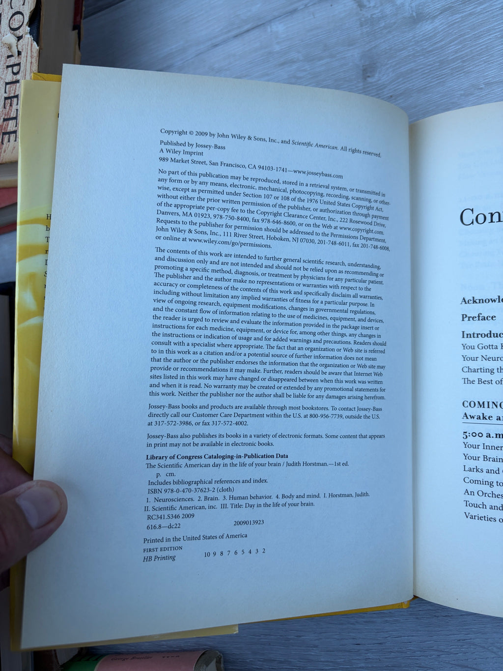 The Scientific American Day in the Life of Your Brain