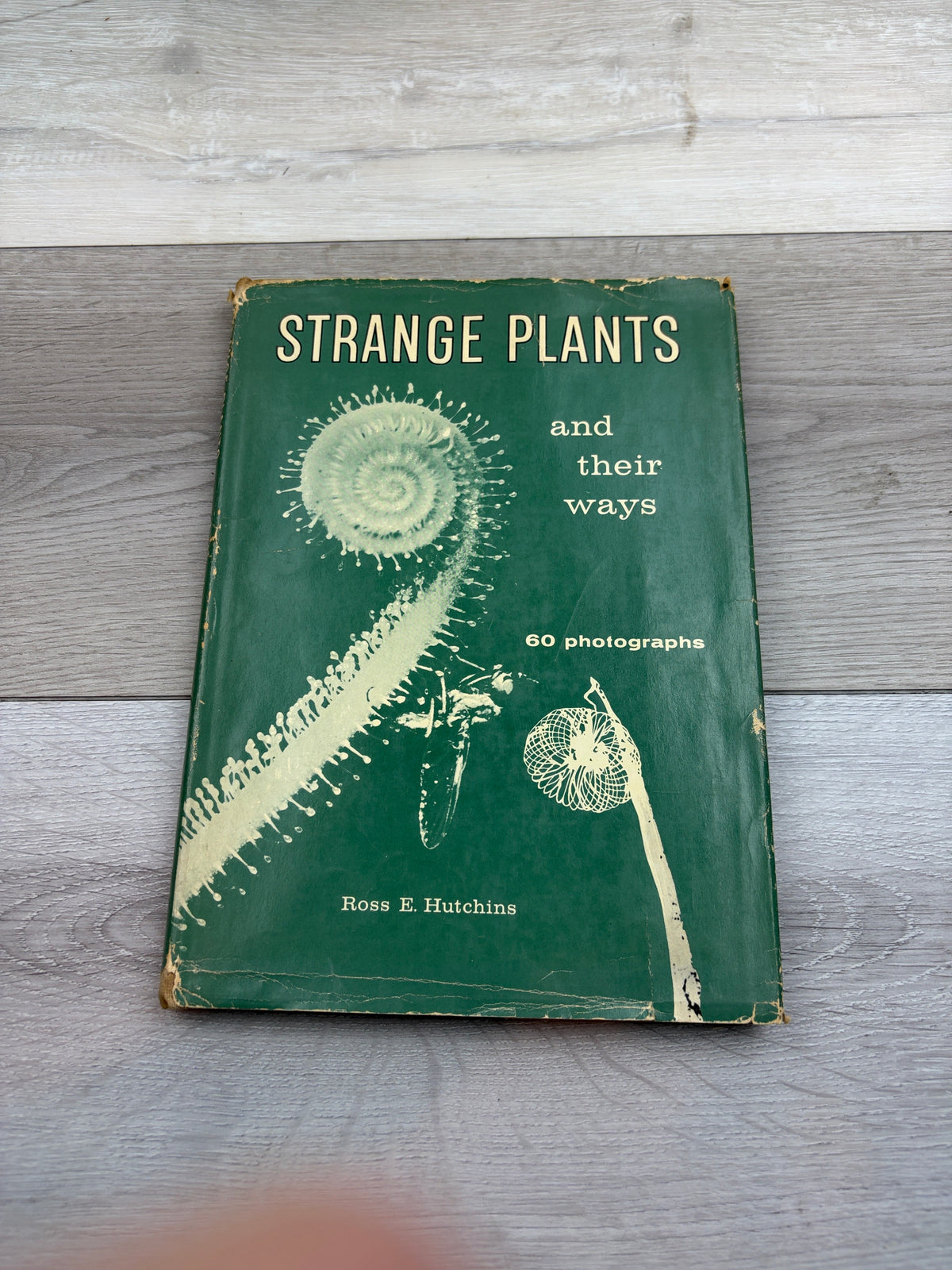 Strange Plants and Their Ways