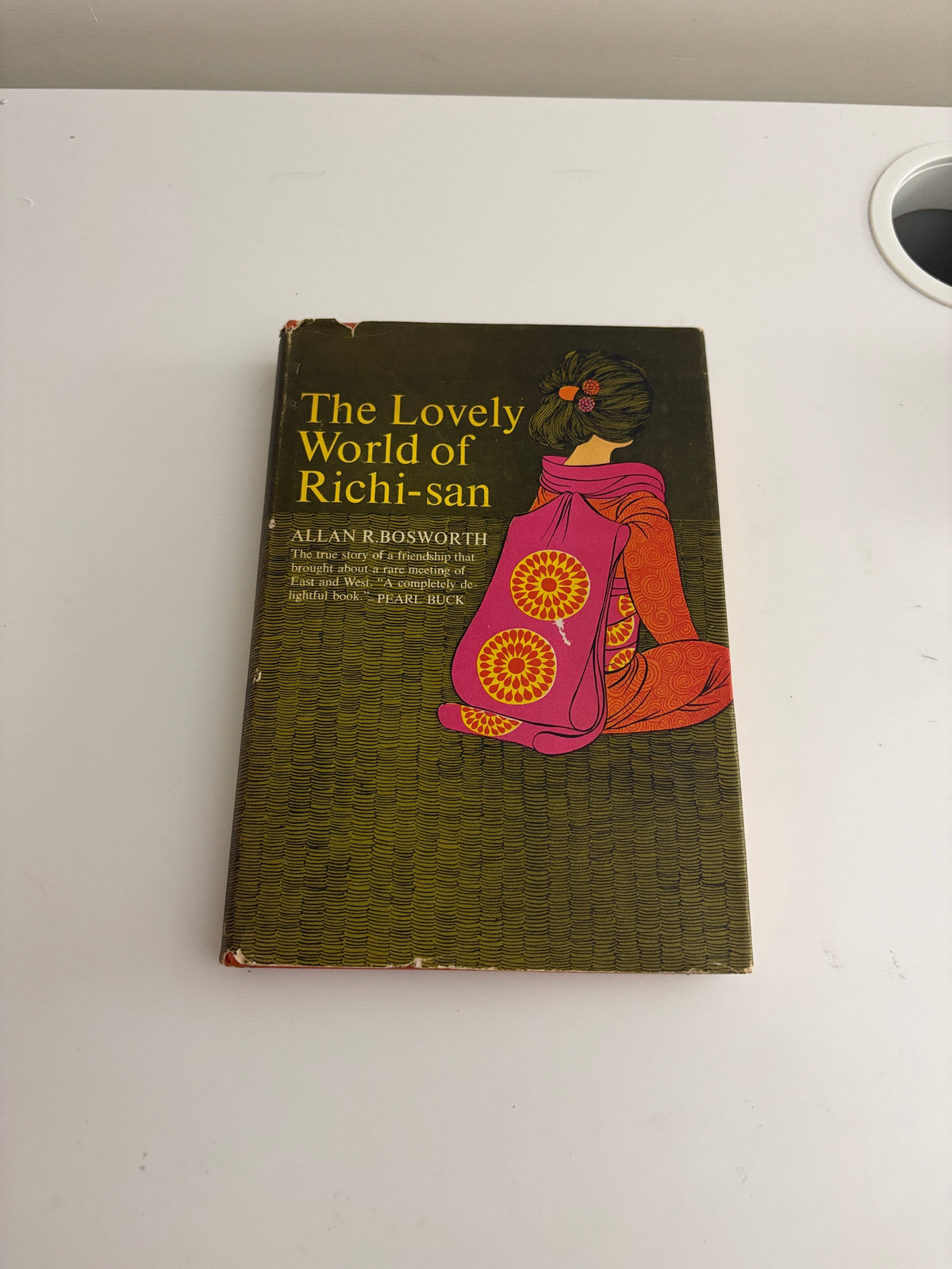 The Lovely World of Richi-san