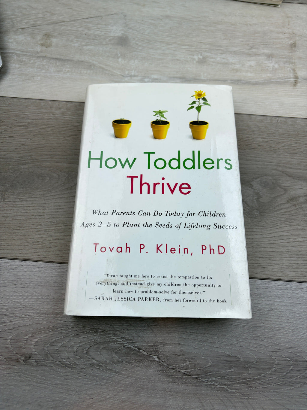 How Toddlers Thrive: What Parents Can Do Today for Children Ages 2-5 to Plant the Seeds of Lifelong Success