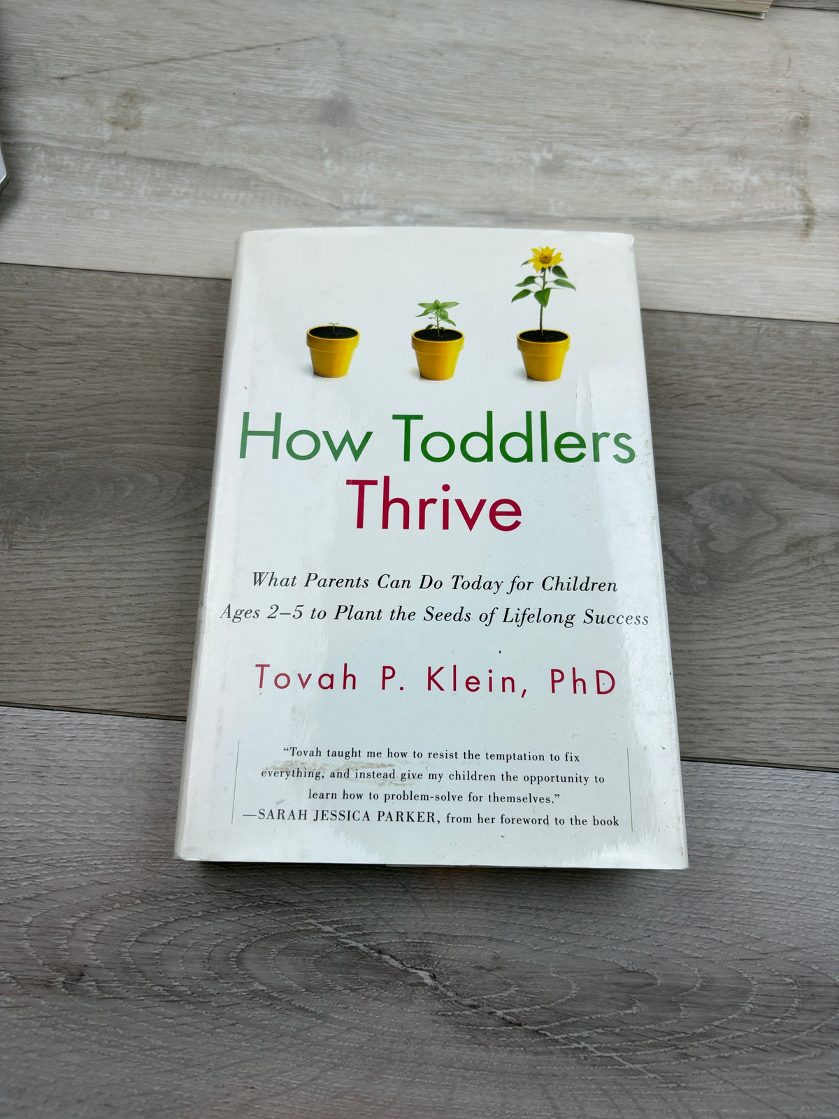 How Toddlers Thrive: What Parents Can Do Today for Children Ages 2-5 to Plant the Seeds of Lifelong Success