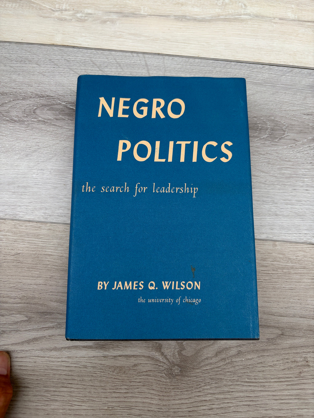Negro Politics: The Search for Leadership