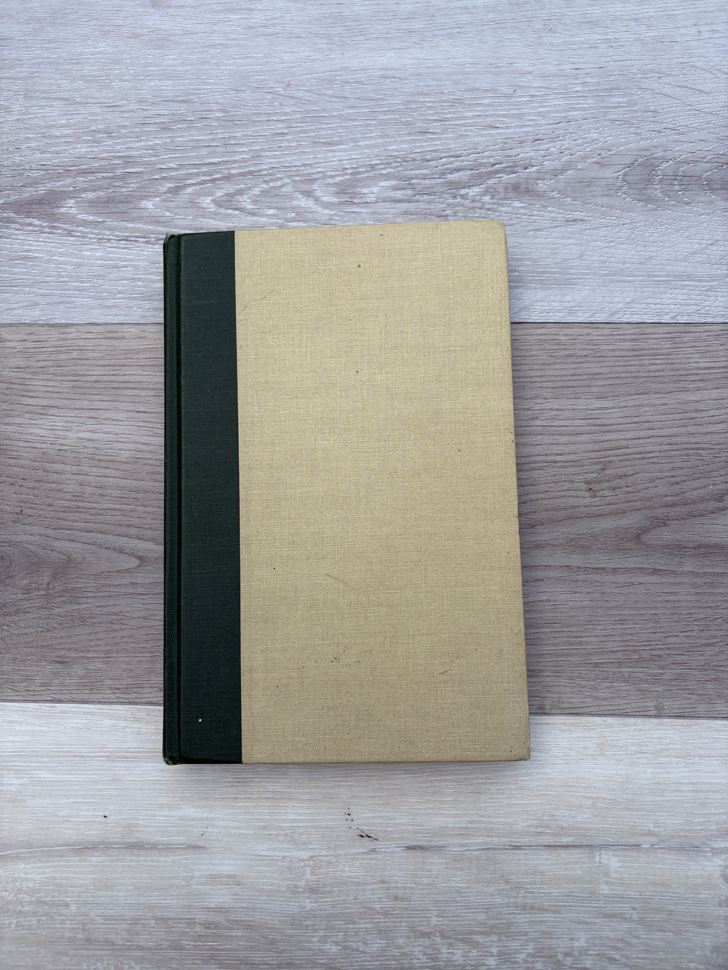 Critical Essays on Dante