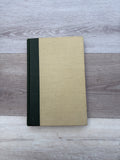 Critical Essays on Dante