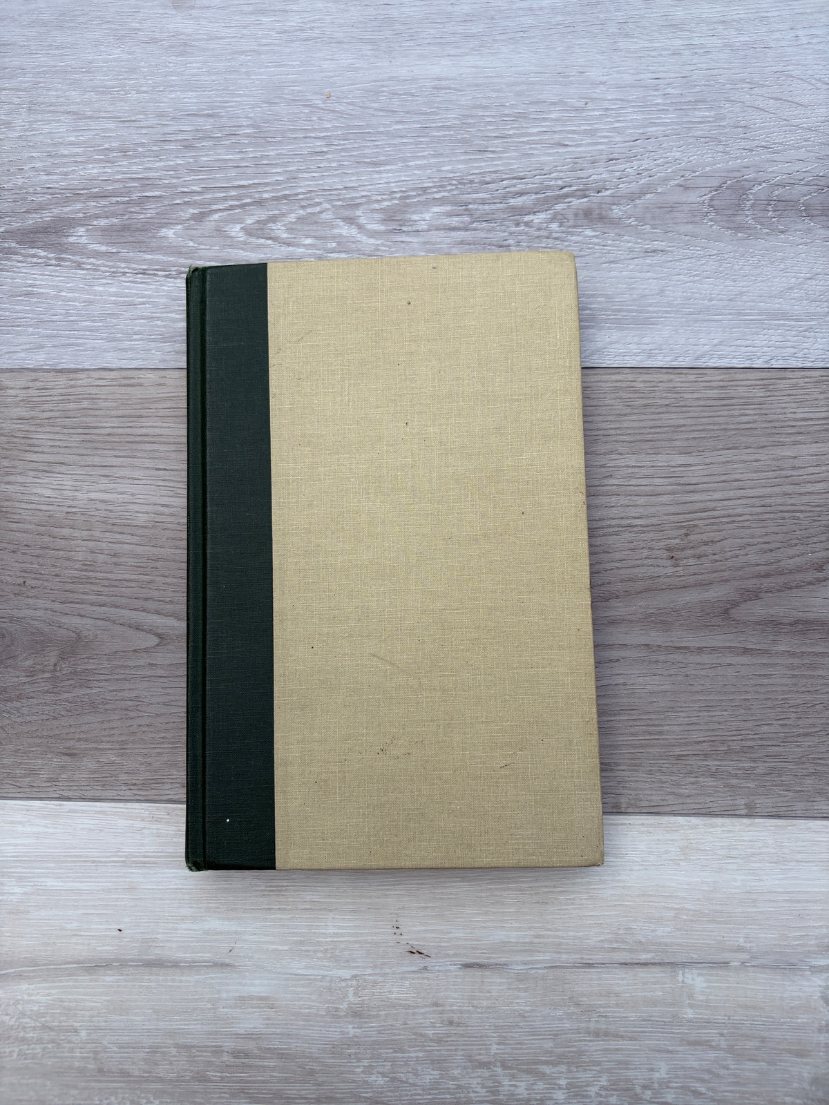 Critical Essays on Dante