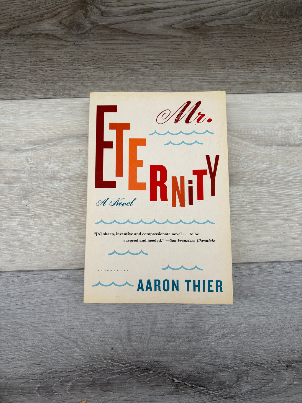 Mr. Eternity: A Novel