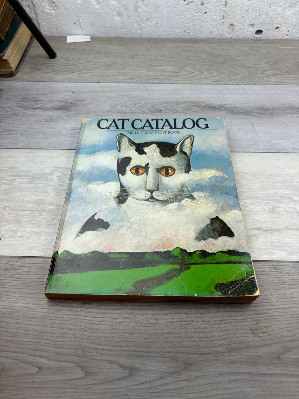 Cat Catalog: The Ultimate Cat Book