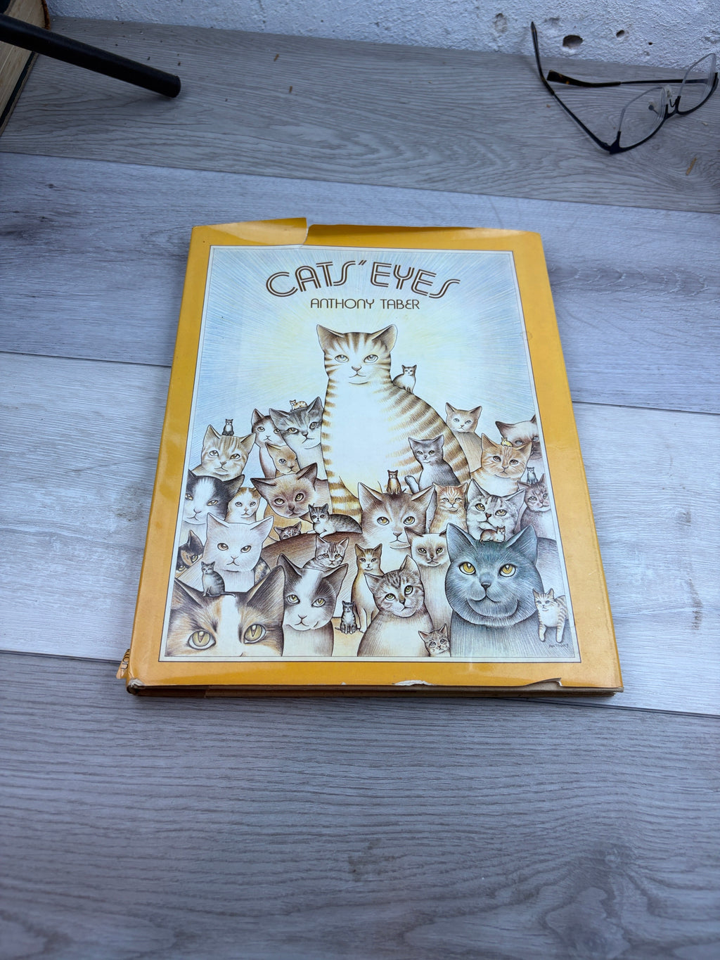 Cat's Eyes