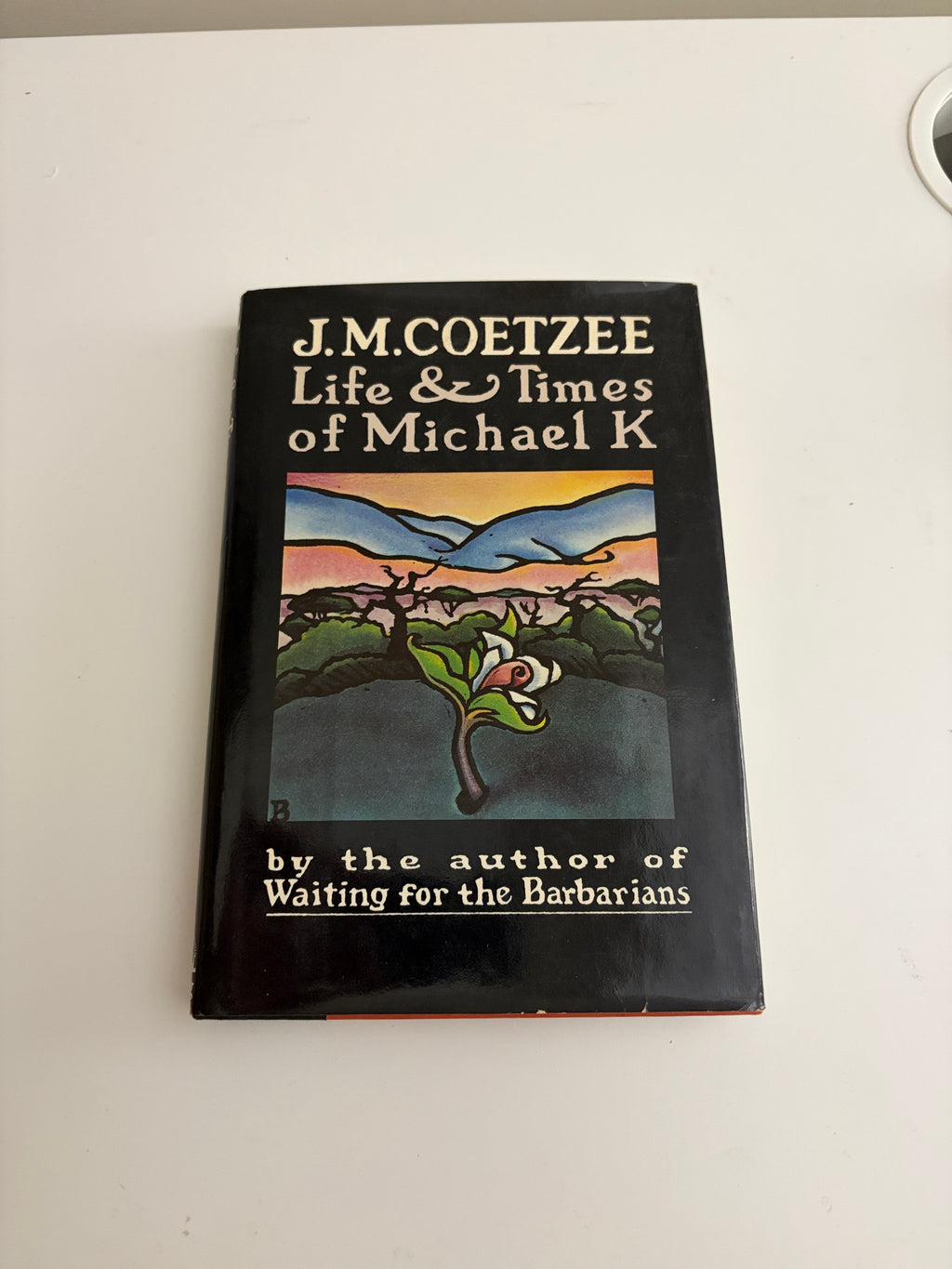 Life & Times of Michael K