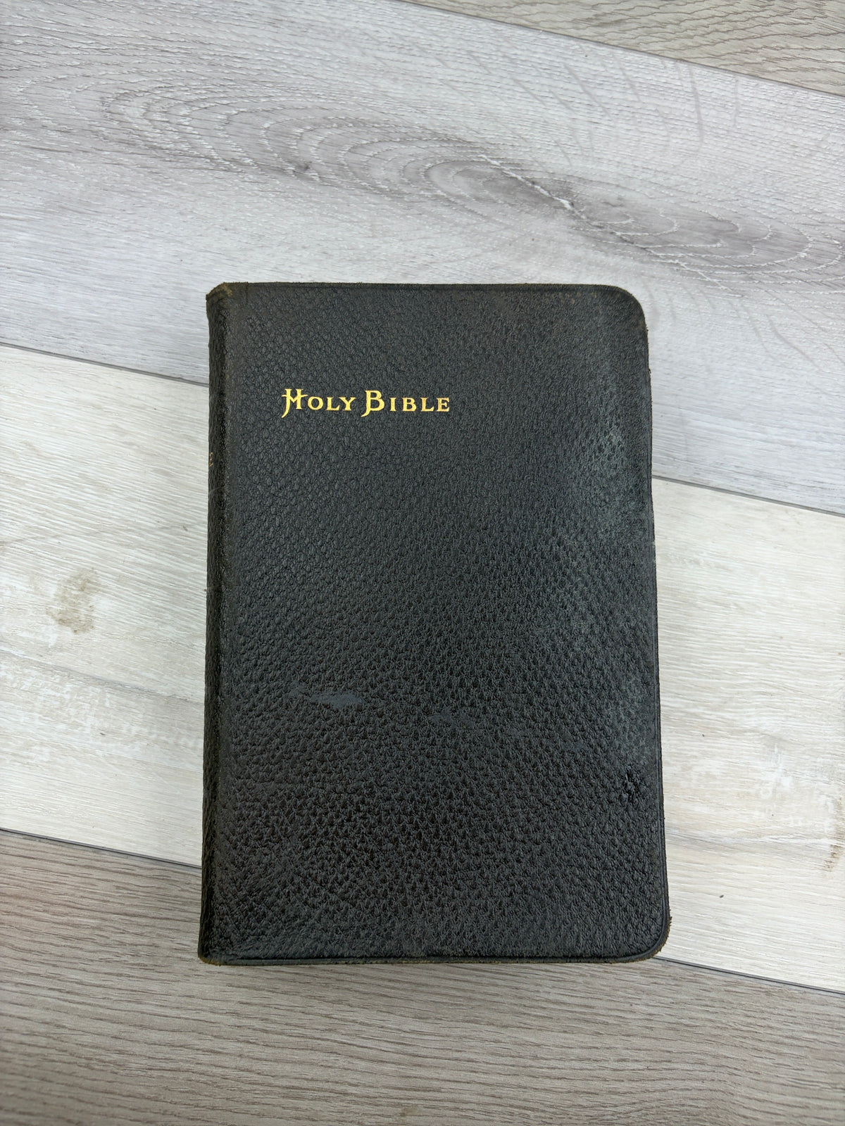 The Holy Bible