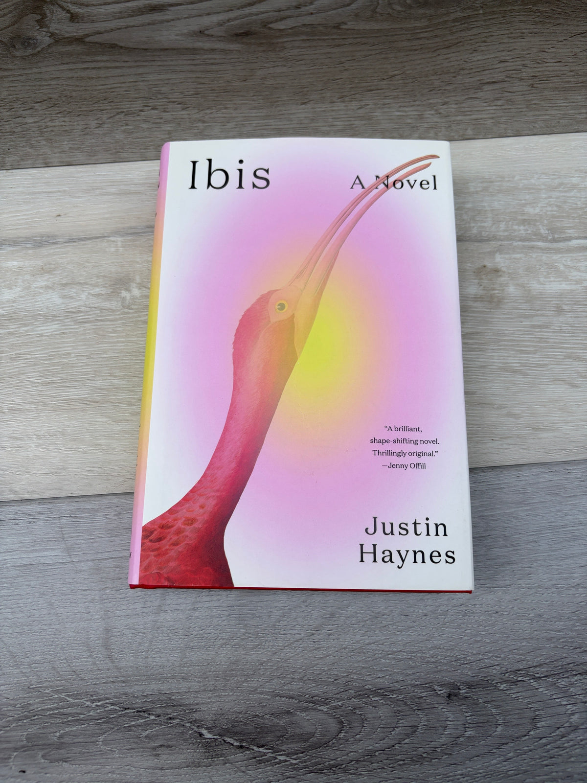 Ibis: A Novel
