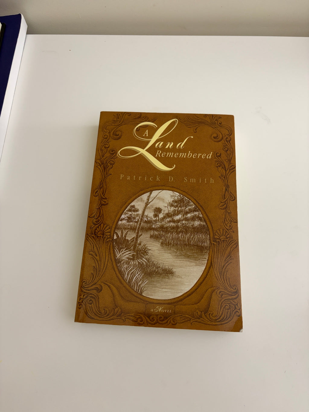 A Land Remembered