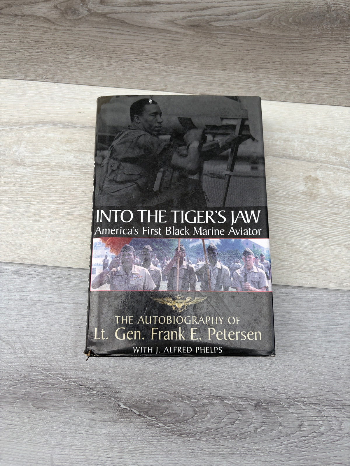 Into the Tiger's Jaw: America's First Black Marine Aviator