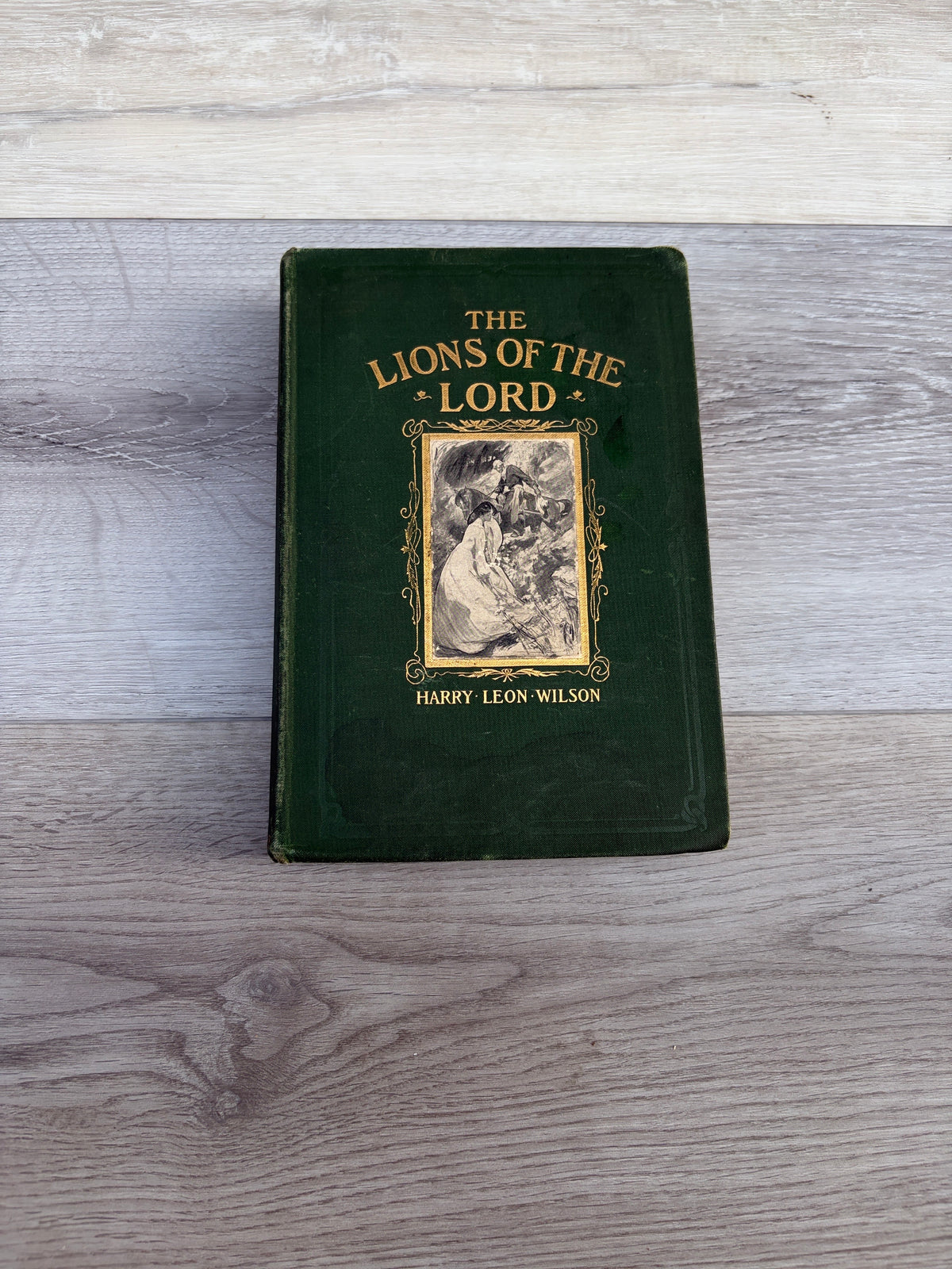 The Lions of the Lord: A Tale of the Old West