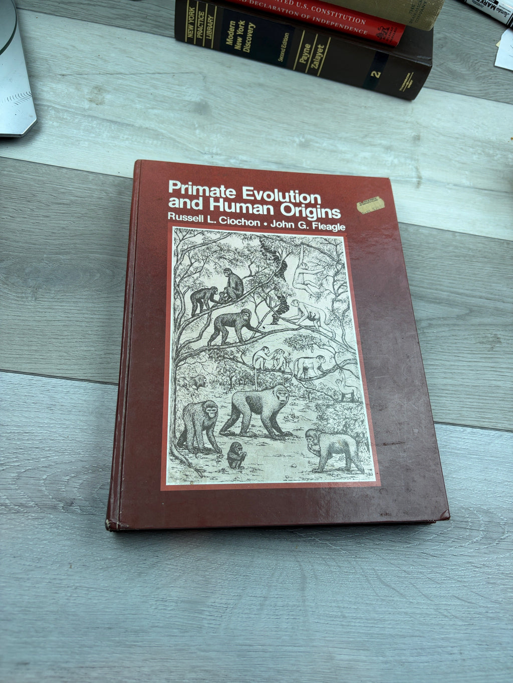 Primate Evolution and Human Origins