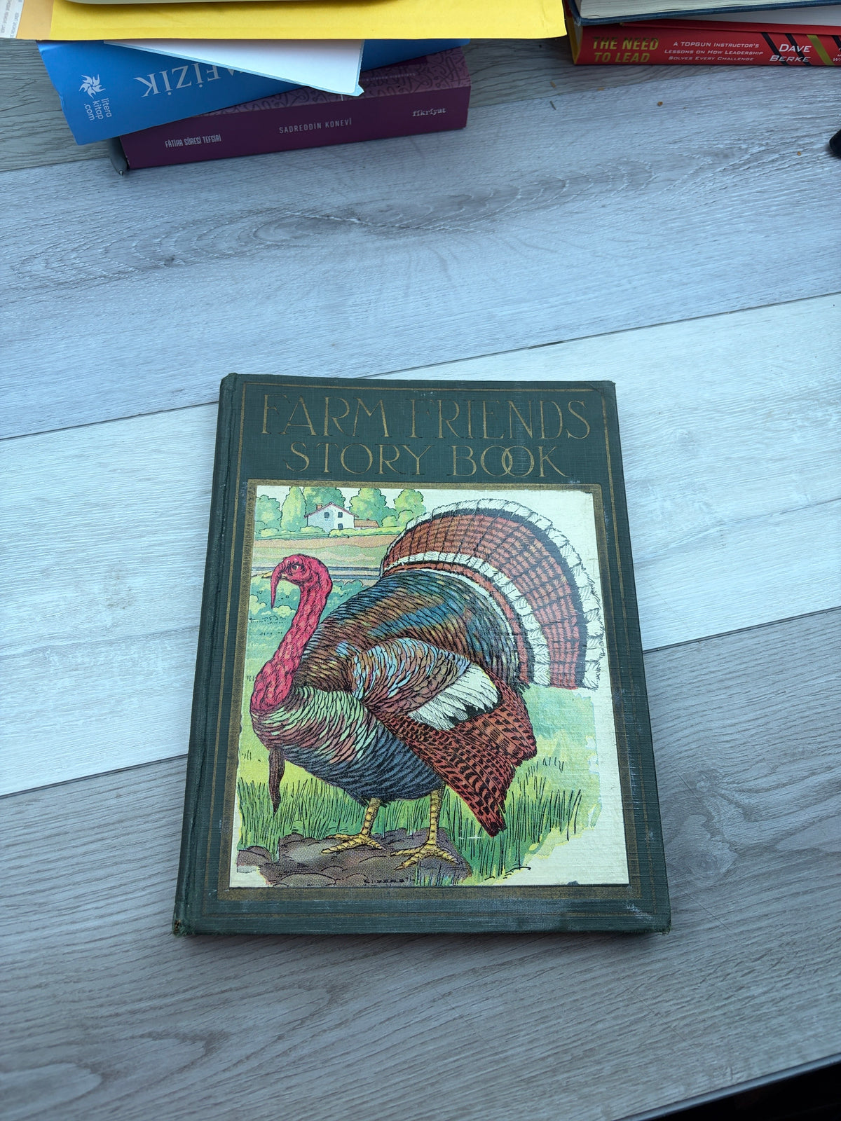 Farm Friends Story Book