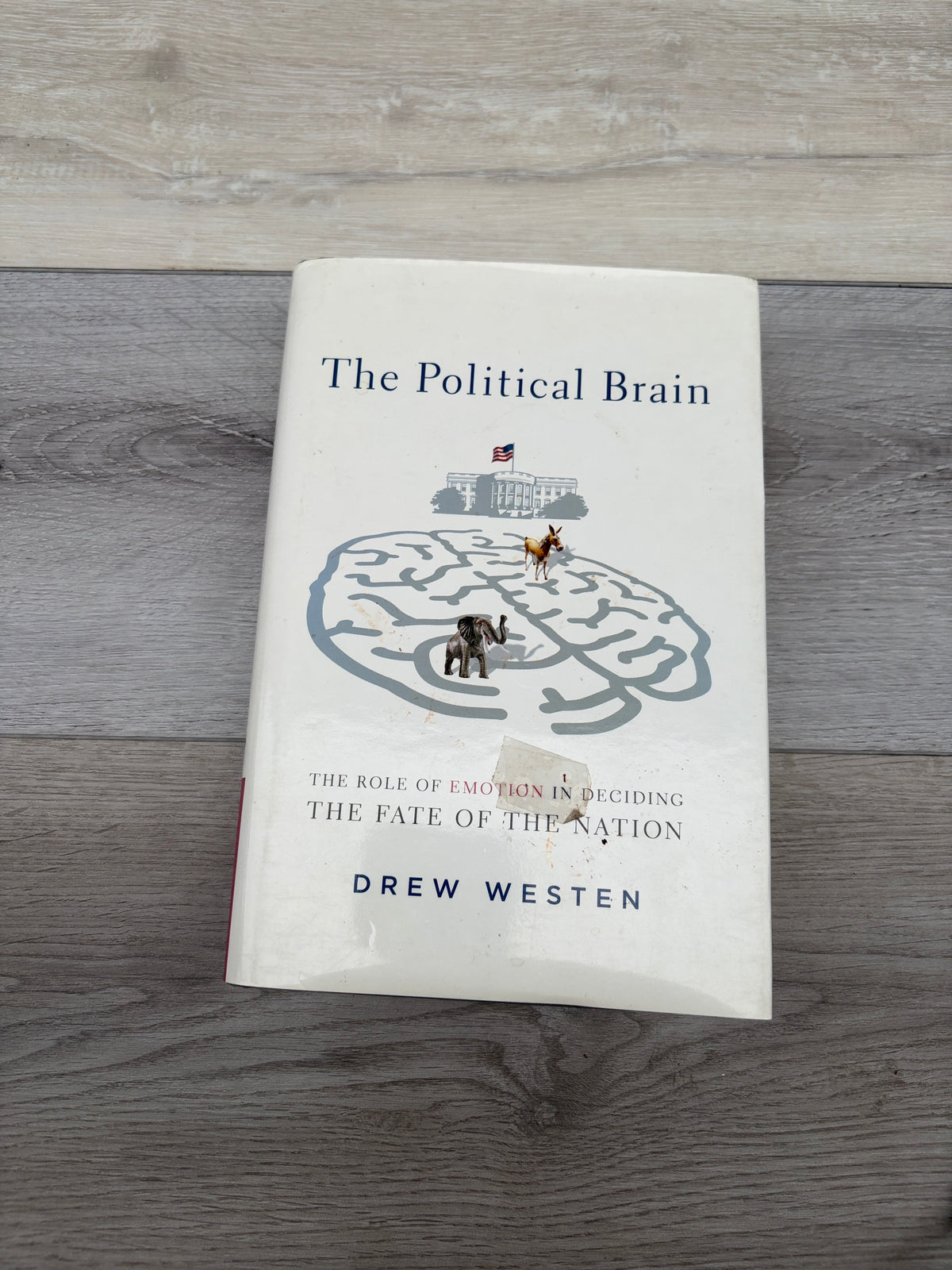 The Political Brain: The Role of Emotion in Deciding the Fate of the Nation