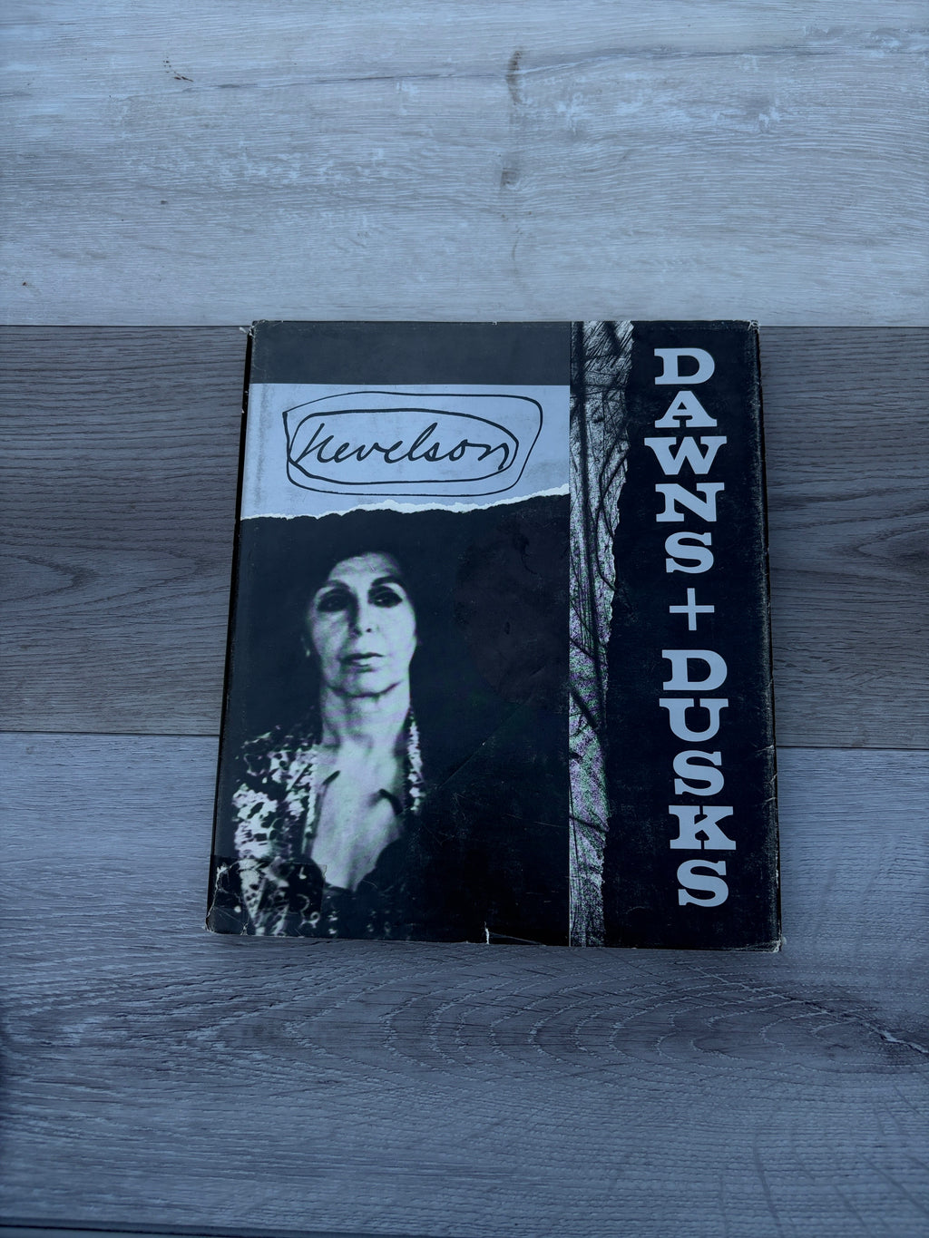 Dawns and Dusks: Taped Conversations with Diana MacKown