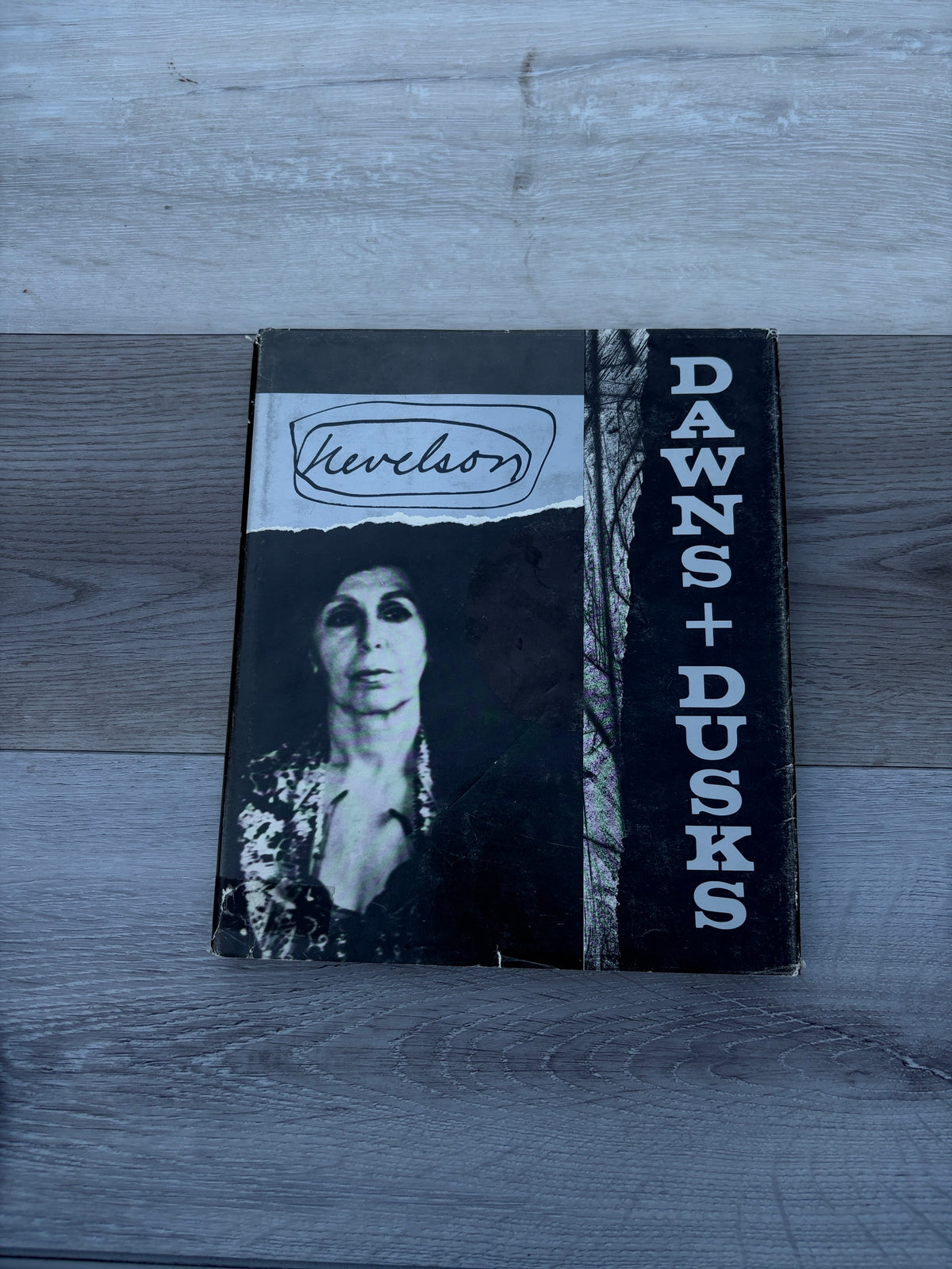Dawns and Dusks: Taped Conversations with Diana MacKown