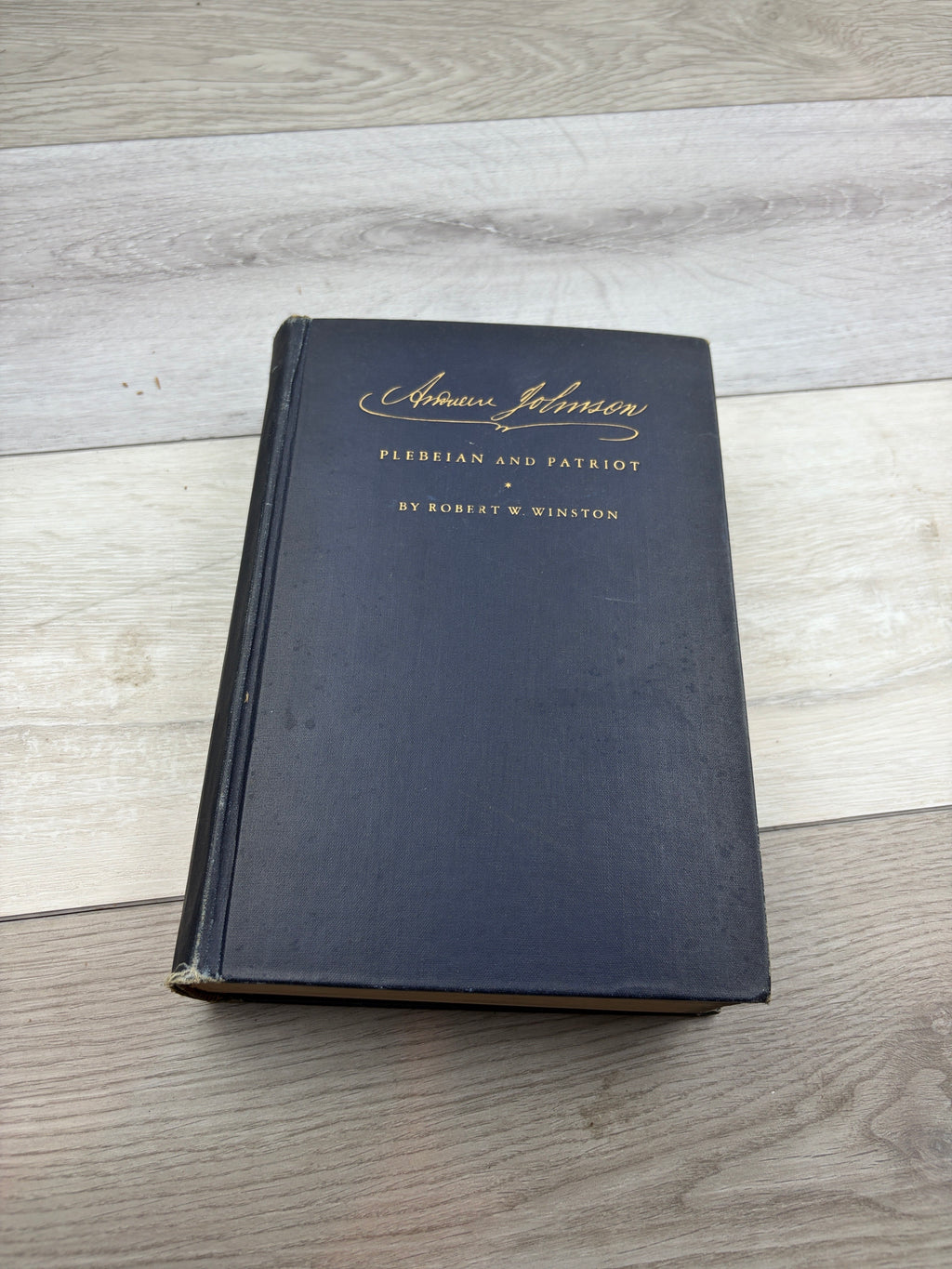 Andrew Johnson: Plebeian and Patriot