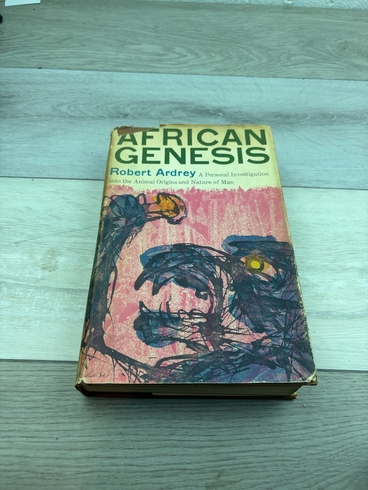 African Genesis