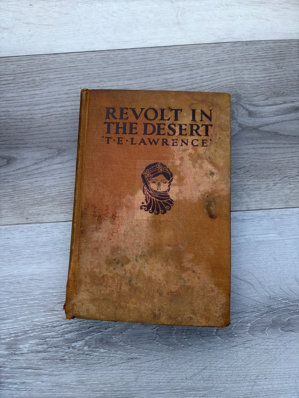 Revolt in the Desert