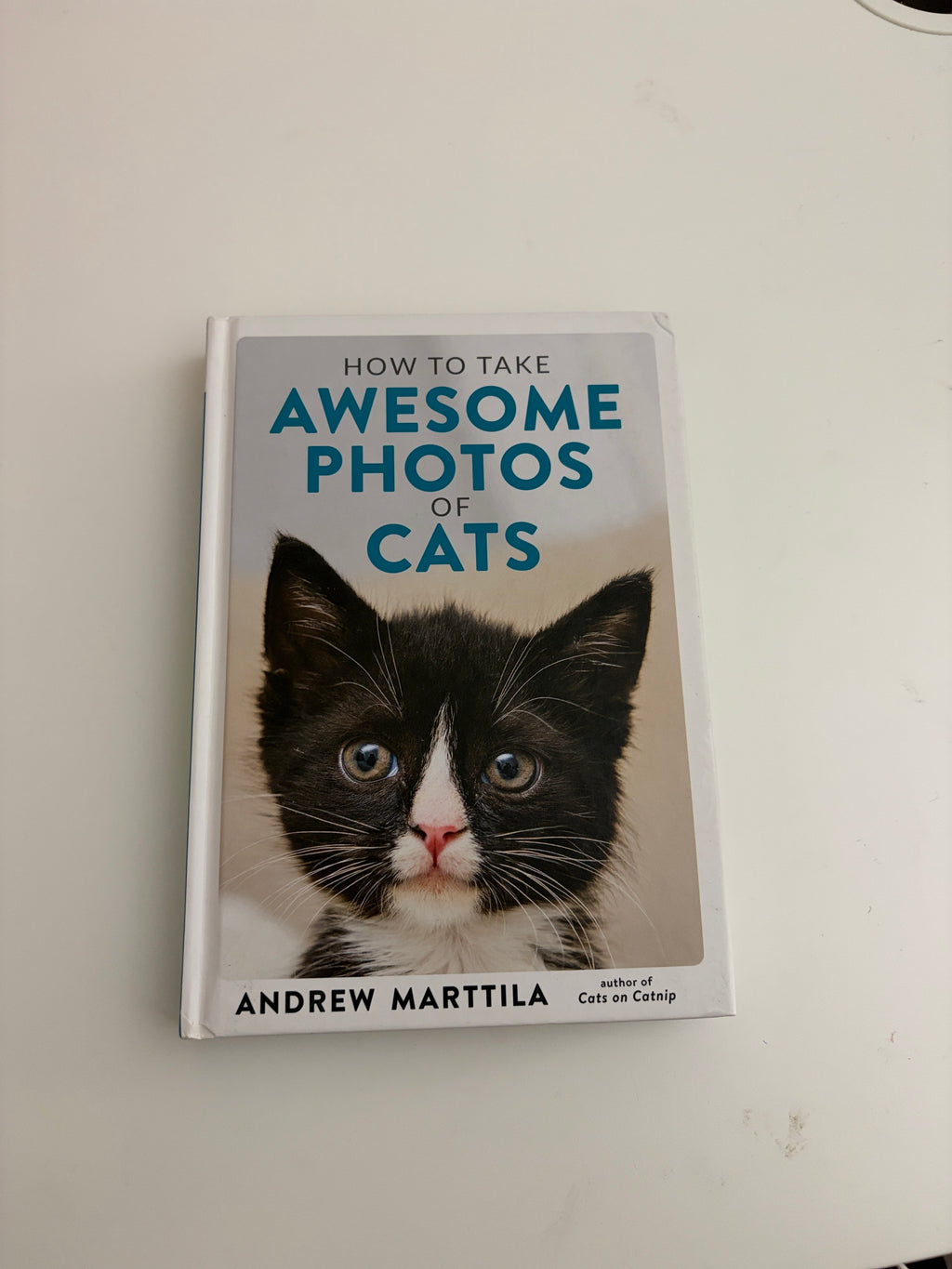 How to Take Awesome Photos of Cats