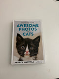 How to Take Awesome Photos of Cats