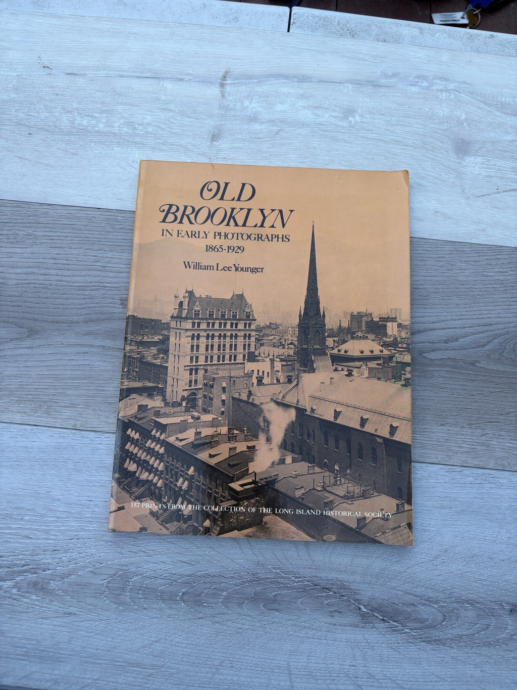 Old Brooklyn, 1865-1929, in Early Photographs