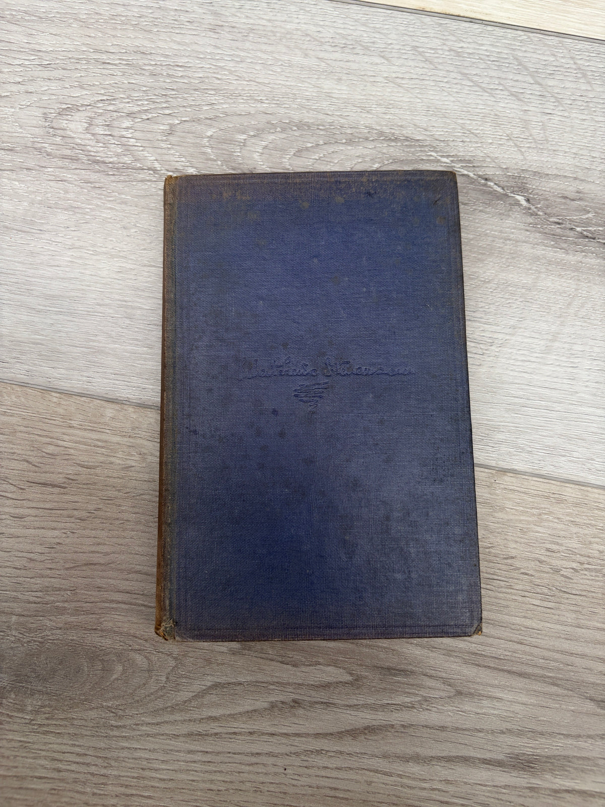 An Inland Voyage; Travels with a Donkey in the Cevennes