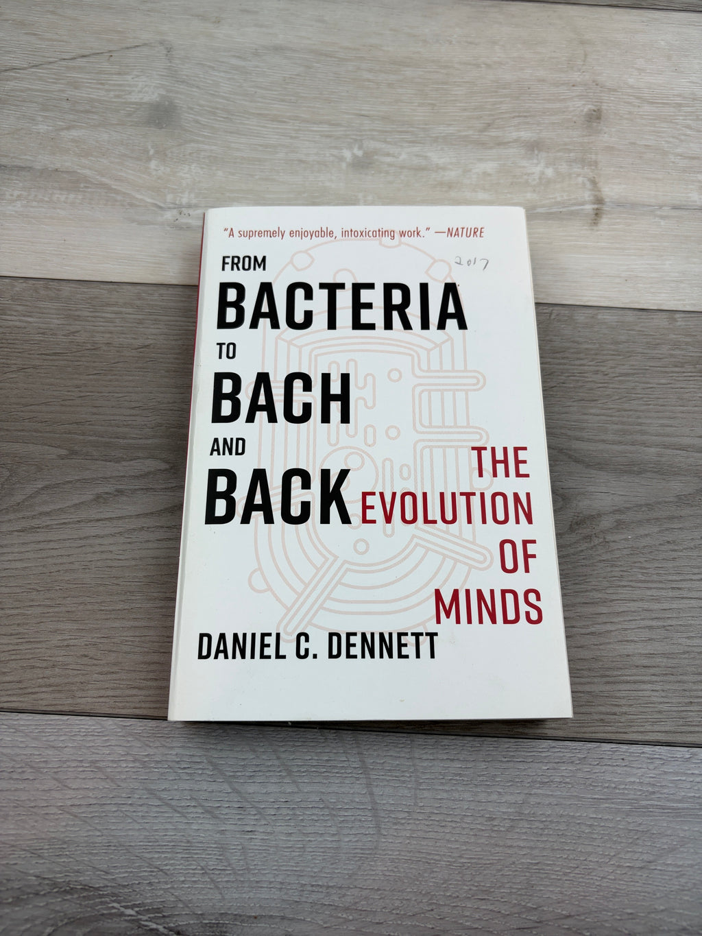From Bacteria to Bach and Back