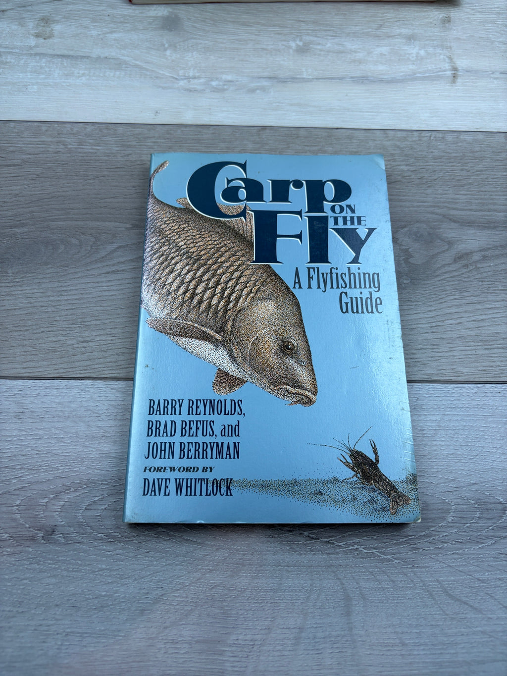 Carp on the Fly: A Flyfishing Guide