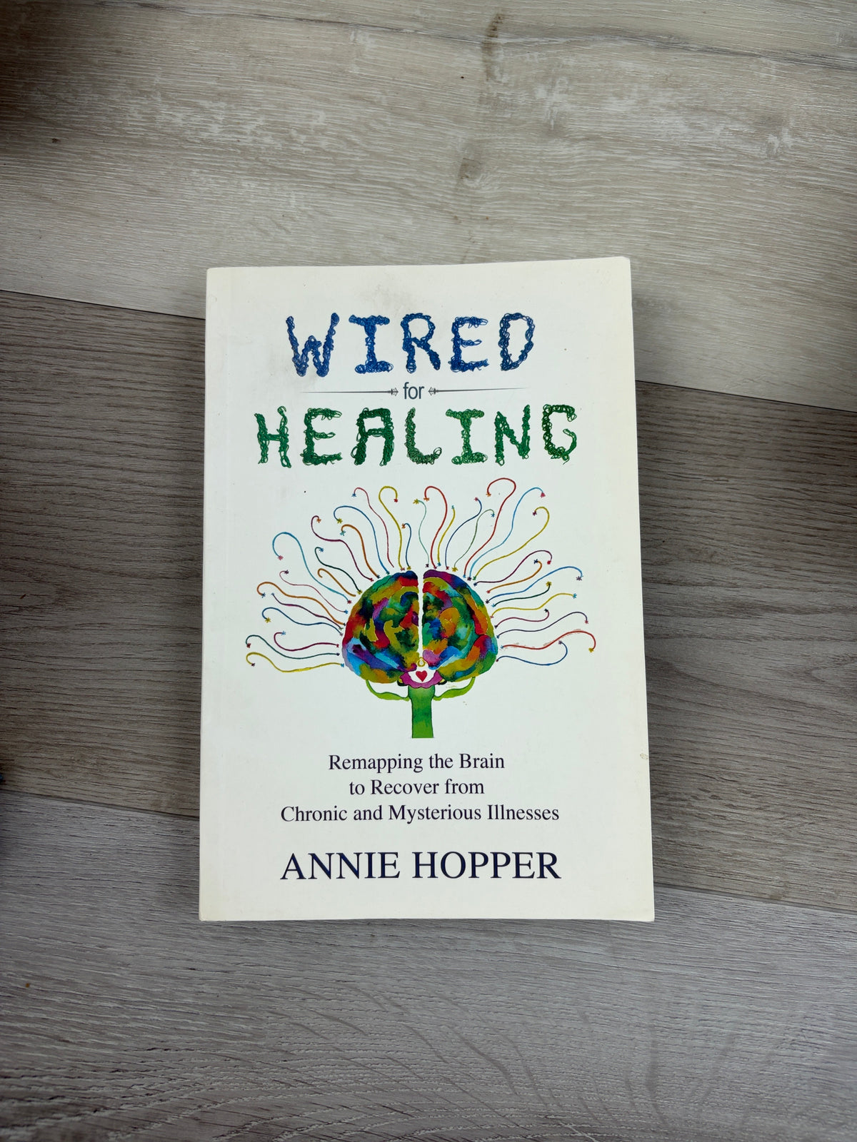 Wired for Healing: Remapping the Brain to Recover from Chronic and Mysterious Illnesses