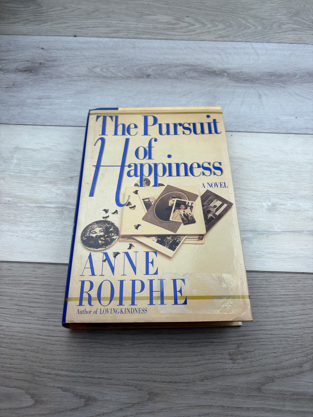The Pursuit of Happiness: A Novel