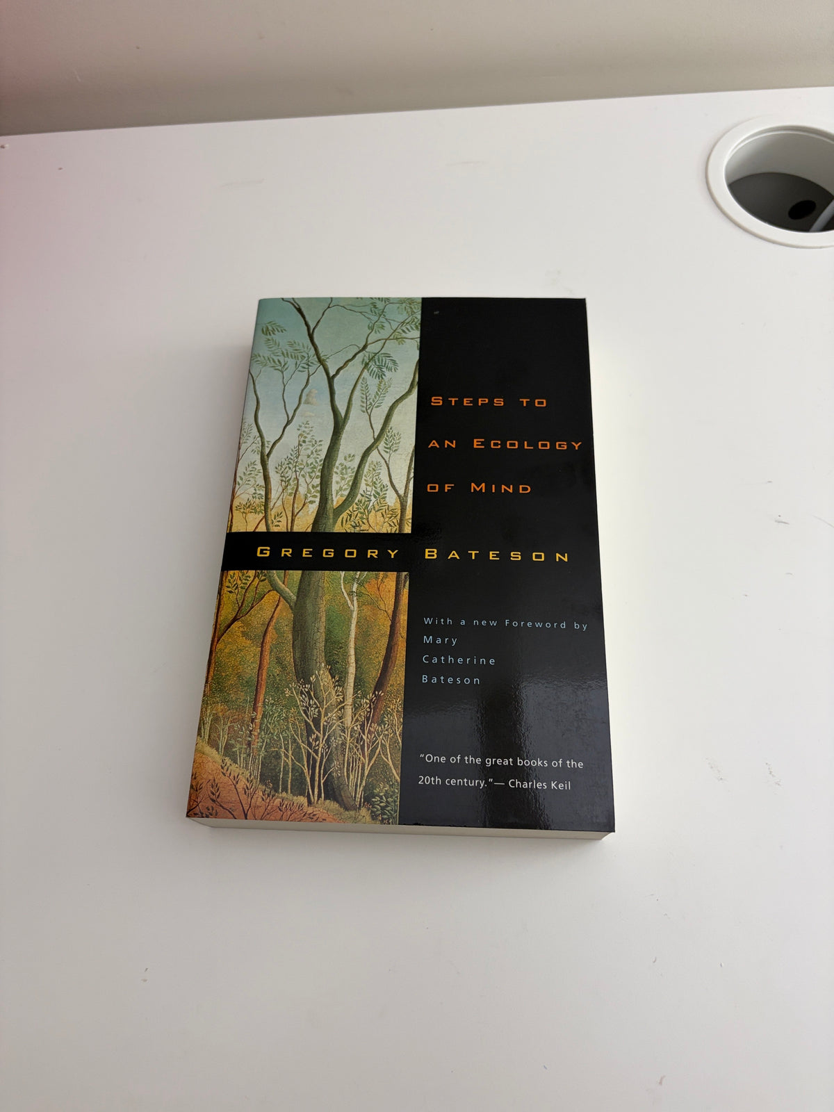 Steps to an Ecology of Mind