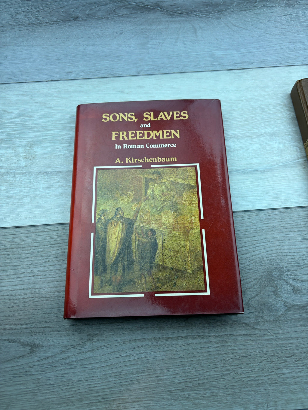 Sons, Slaves and Freedmen in Roman Commerce