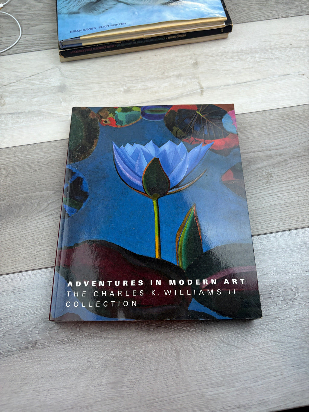 Adventures in Modern Art: The Charles K. Williams II Collection