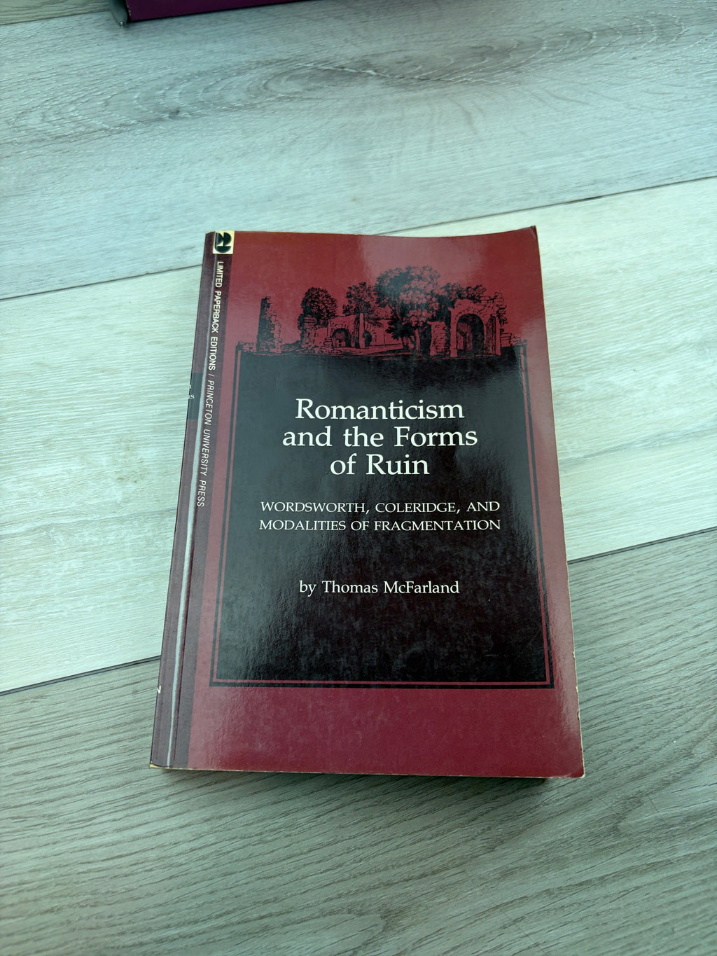 Romanticism and the Forms of Ruin