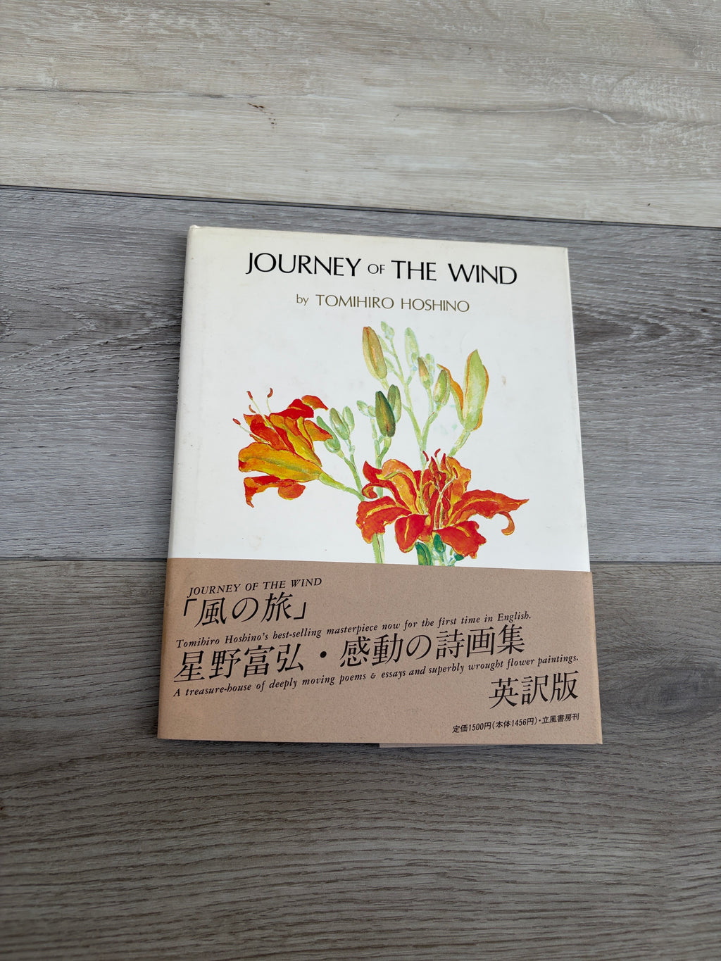 Journey of the Wind