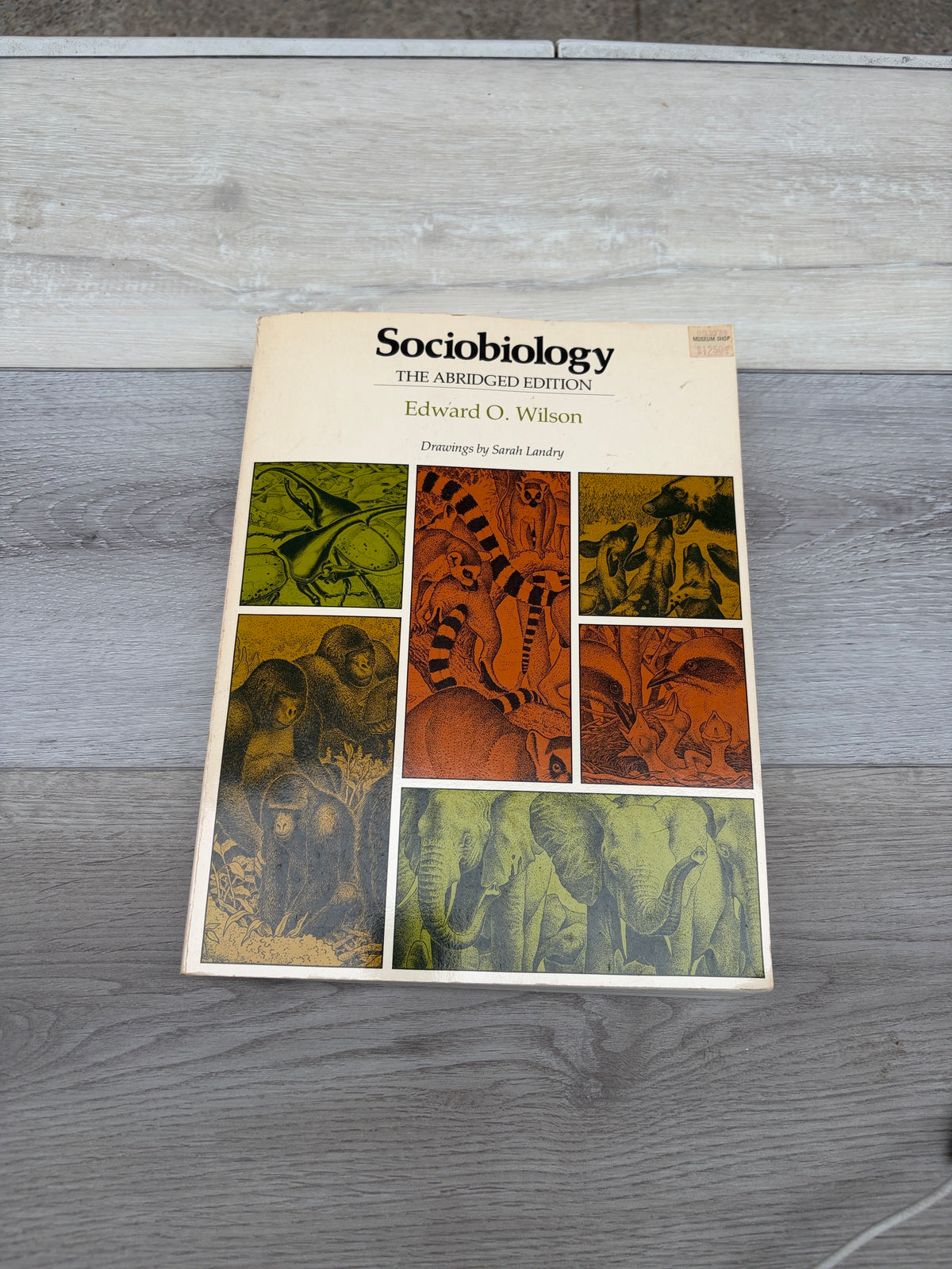 Sociobiology: The Abridged Edition