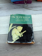The Mammals